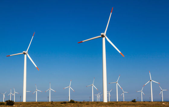 Individualisierter ISO9001-zertifizierter Windgenerator für umweltfreundliche Energie