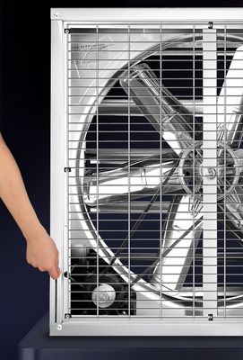 Zykluslüftung 1000 mm Industrieauspuffventilator für Hühner Geflügelfarm Lüftung