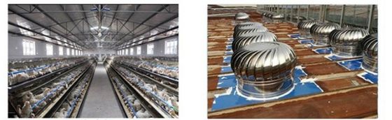 Wandmontage Industrielle Edelstahl 304 Windgetriebene Kreis Turbine Lüftungsventilator