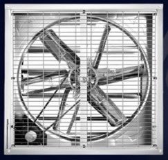 48 Zoll Wandmontierte AC-Aussaugventilator mit Siemens Motor Silber Gewächshaus Lüftung