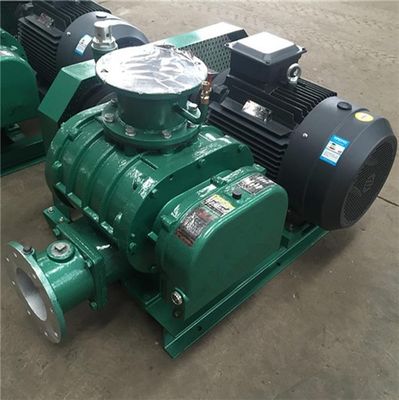 Effizient steigern Sie Ihre Produktion mit unserer maßgeschneiderten Roots Blower Vakuumpumpe