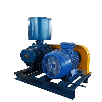 Effizient steigern Sie Ihre Produktion mit unserer maßgeschneiderten Roots Blower Vakuumpumpe