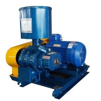 Maßgeschneiderte Farbe Zentrifugalventilator Wurzelblaser für Aquakultur und Abwasserbehandlung